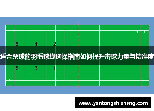 适合杀球的羽毛球线选择指南如何提升击球力量与精准度